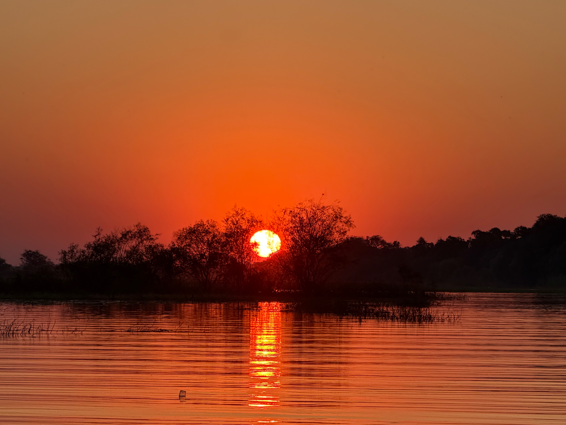 Sunset on the Zambezi